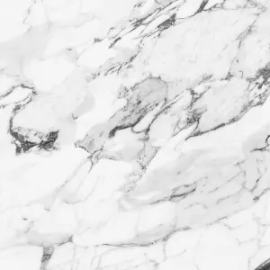 Керамический гранит ZerdeTile Monte Bianco MB0H00M01 white белый 60x60 см